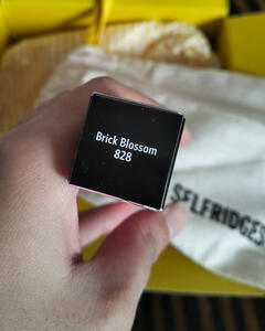 Bobbi Brown x PPG lipstick. "Brick Blossom" red shade.